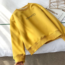 Load image into Gallery viewer, Jacket women solid color hoodies 2020 autumn winter imitation lamb wool korean loose plus velvet thick zipper sweatshirt tops